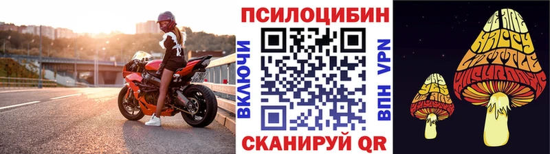 Галлюциногенные грибы GOLDEN TEACHER  blacksprut зеркало  Балашиха 
