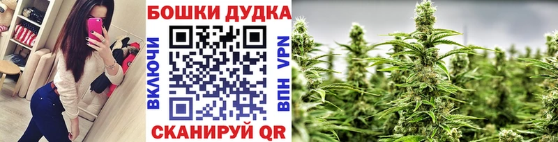 где можно купить   Балашиха  МЕГА как войти  Канабис SATIVA & INDICA 